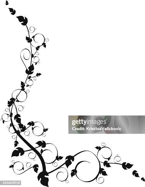 dekorative rahmen - vines silhouette stock-grafiken, -clipart, -cartoons und -symbole