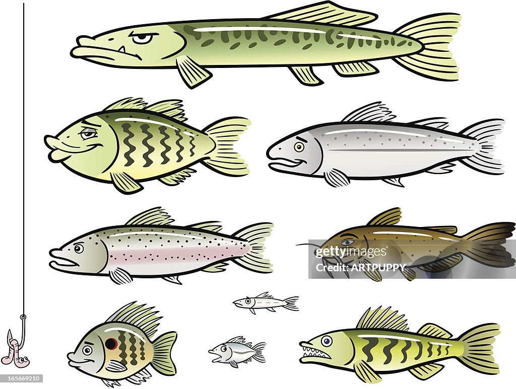 Lake Ruldolph Fish Lake Fish Types