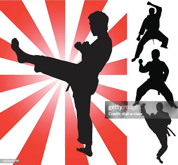 tae kwon do fighting silhouettes - martial arts stock illustrations