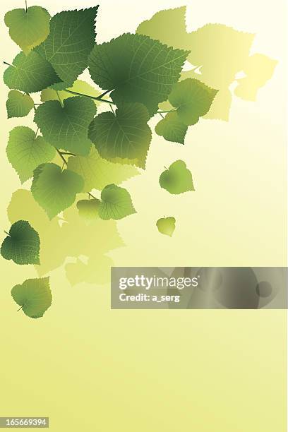 Geometric Backgrund Photos and Premium High Res Pictures Getty Images Geometric Backgrund Photos and Premium High Res Pictures Getty Images