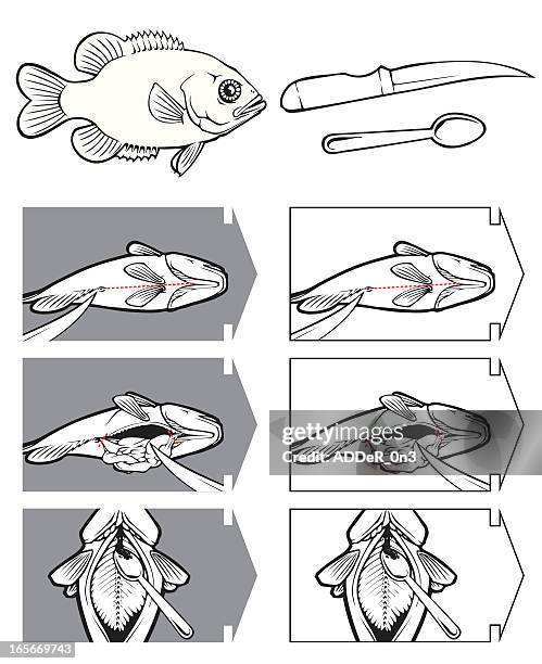 ilustraciones, imágenes clip art, dibujos animados e iconos de stock de cómo limpiar un pescado - cortado en filetes