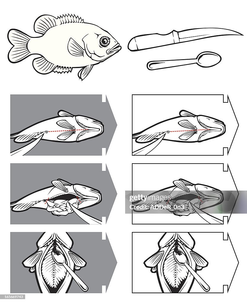 How to Clean a Fish