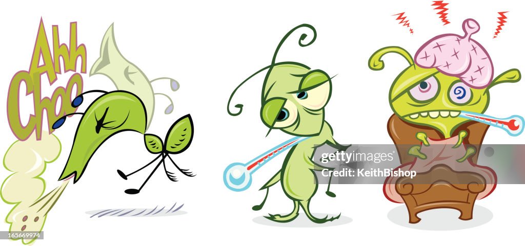 Flu Bug in Cold Stages, Sneeze, Temperature