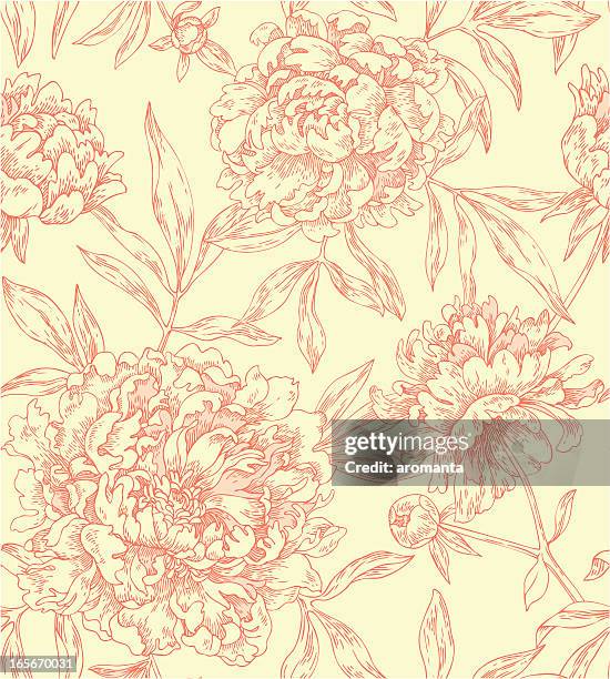 seamless pattern with peonies - peony stock illustrations