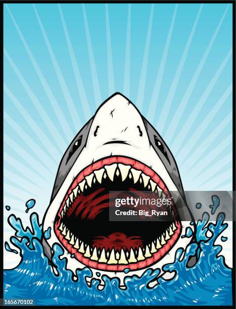 great white attack - shark stock illustrations