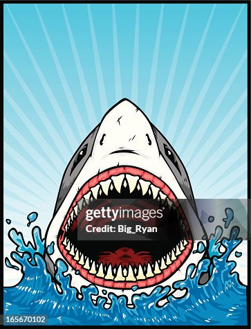 Great white attack Great white attack