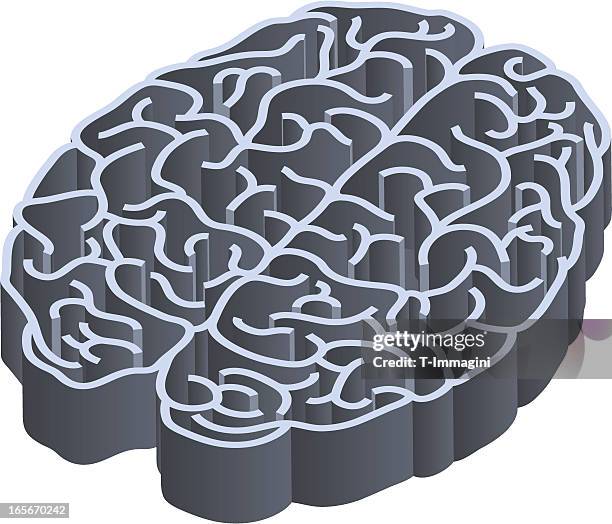 labyrinth brain - mindset stock illustrations