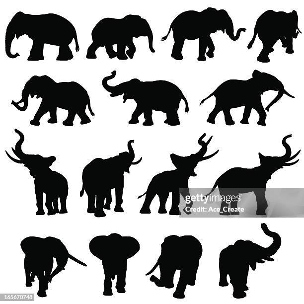 ilustraciones, imágenes clip art, dibujos animados e iconos de stock de elefante silueta de colección - grupo grande de animales