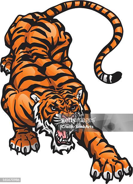 illustrations, cliparts, dessins animés et icônes de tigre accroupi - tiger