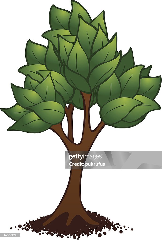 Tree Figure High-Res Vector Graphic - Getty Images