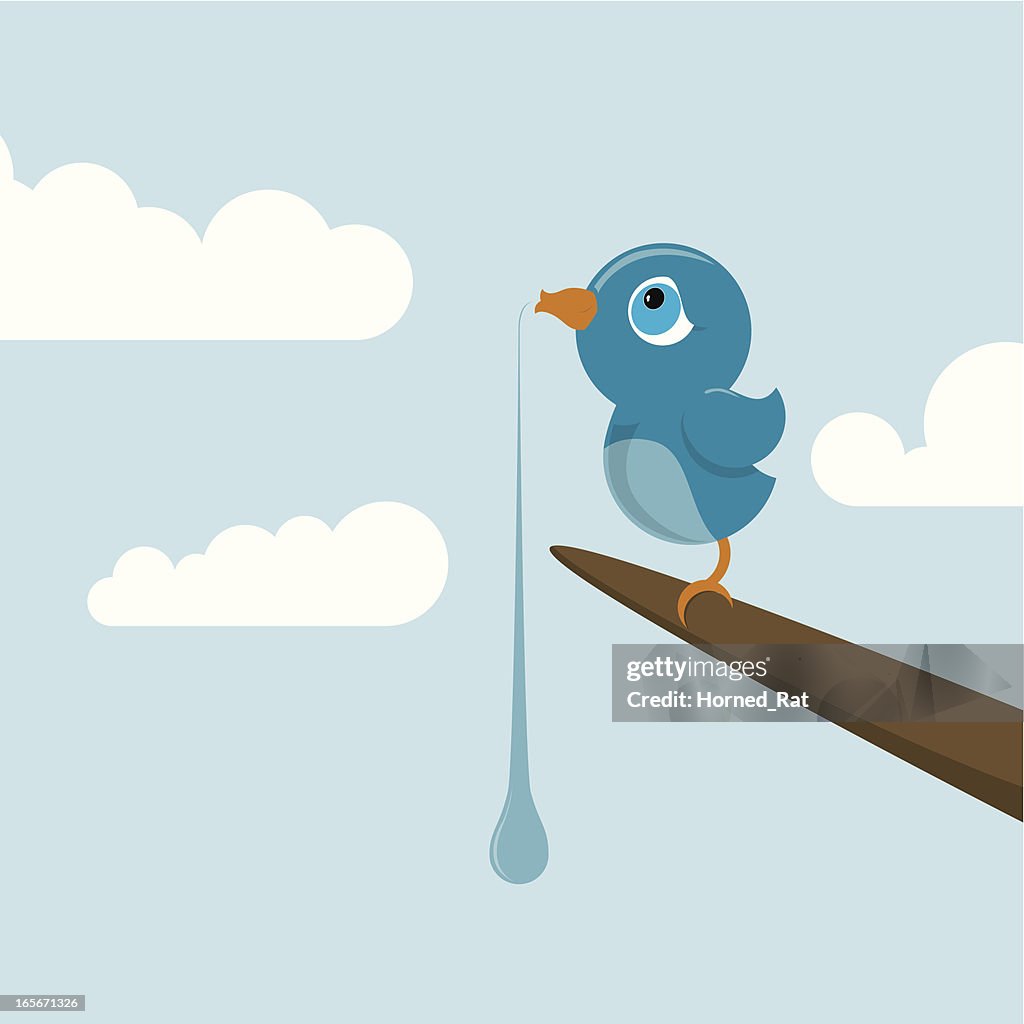 Blue Bird-silbar