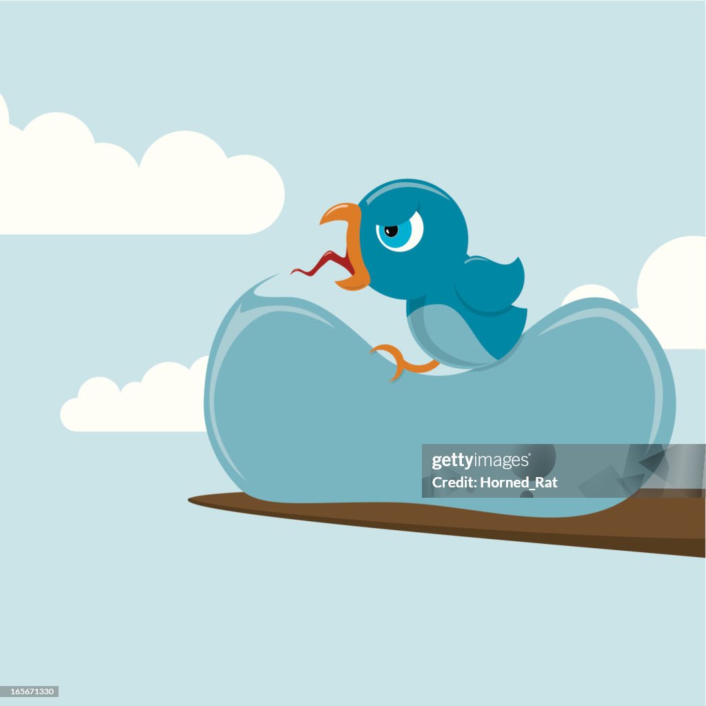 Blue Bird - screaming