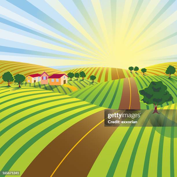 farm road in morgen - farmhouse stock-grafiken, -clipart, -cartoons und -symbole