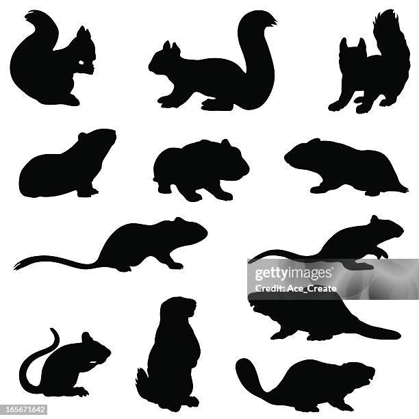 nagetier silhouette kollektion - biber stock-grafiken, -clipart, -cartoons und -symbole