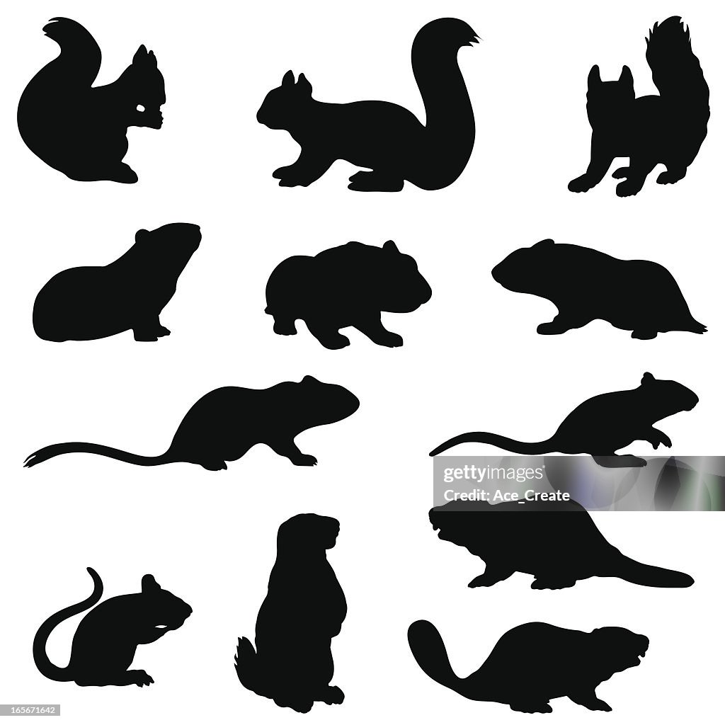 Rodent silhouette collection