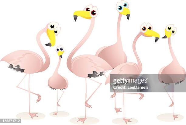 flamingos cartoon - flamingo stock illustrations