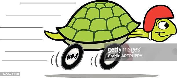 116 Turtle Shell Cartoon High Res Illustrations - Getty Images