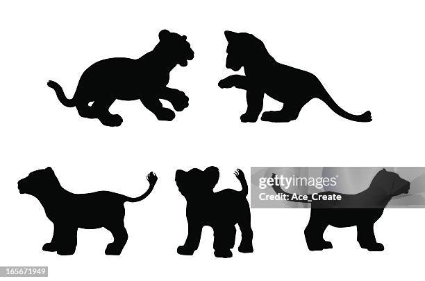 big cat cubs in silhouette - tiger cub stock-grafiken, -clipart, -cartoons und -symbole