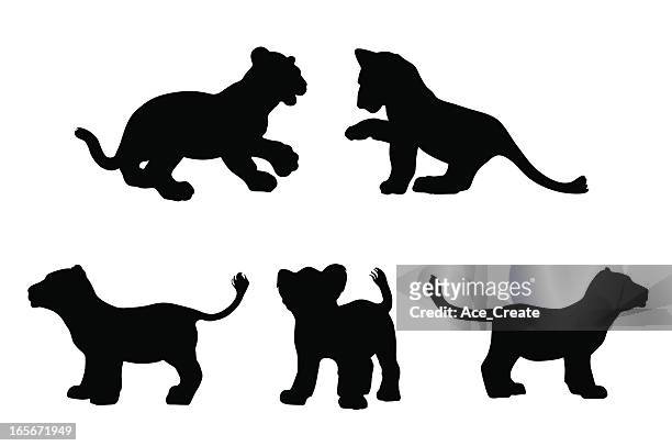 stockillustraties, clipart, cartoons en iconen met big cat cubs in silhouette - lion cub