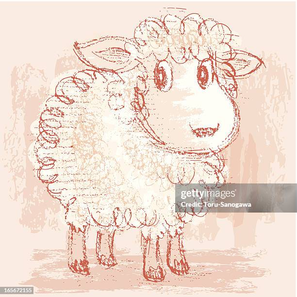 standing sheep - sheep wool stock illustrations
