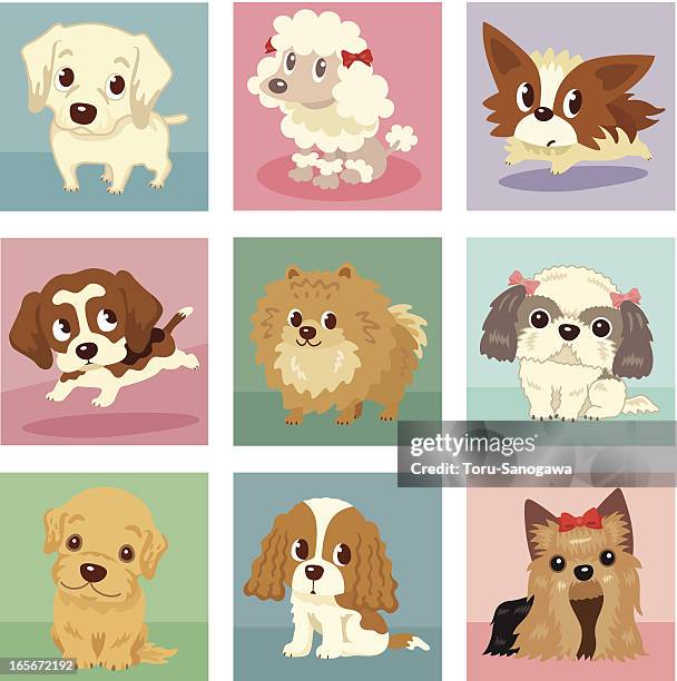 stockillustraties, clipart, cartoons en iconen met many poses of puppies - vlinderhondje