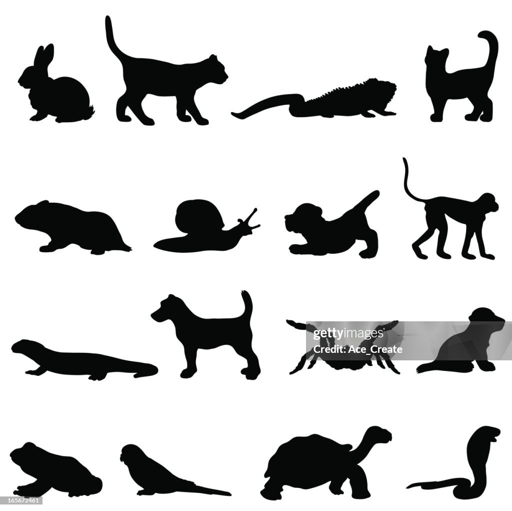 Pet silhouette collection profiles