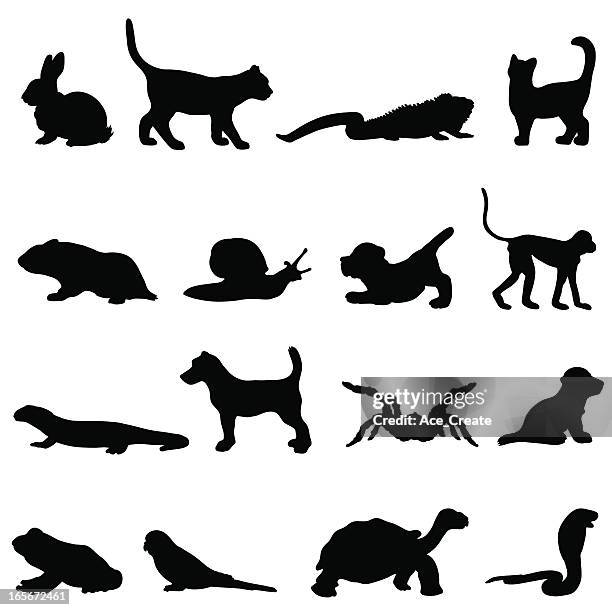 pet silhouette collection profiles - pets 幅插畫檔、美工圖案、卡通及圖標