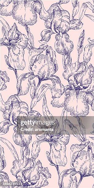 seamless pattern with iris - iris stock illustrations