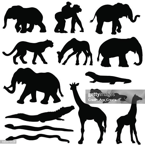 african animals silhouette set - newborn animal stock illustrations