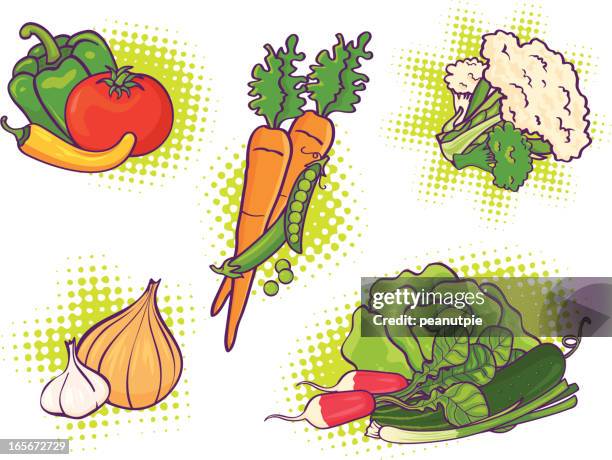 dynamic vegetables - spring onion stock illustrations