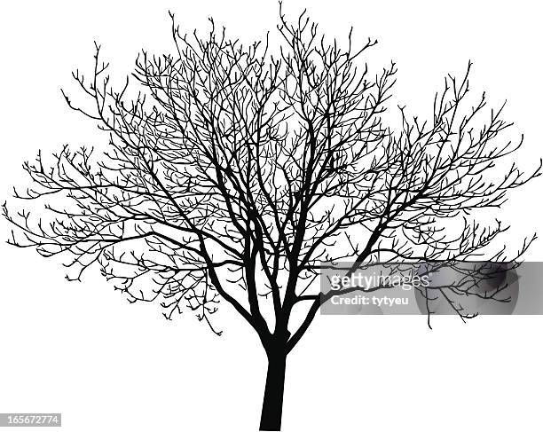 ベクトルの木 - 葉のない木点のイラスト素材／クリップアート素材／マンガ素材／アイコン素材