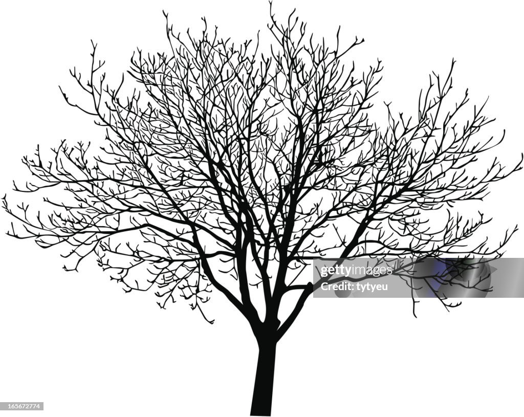 Vector tree