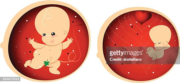gestation - fetus growing - belly button stock illustrations