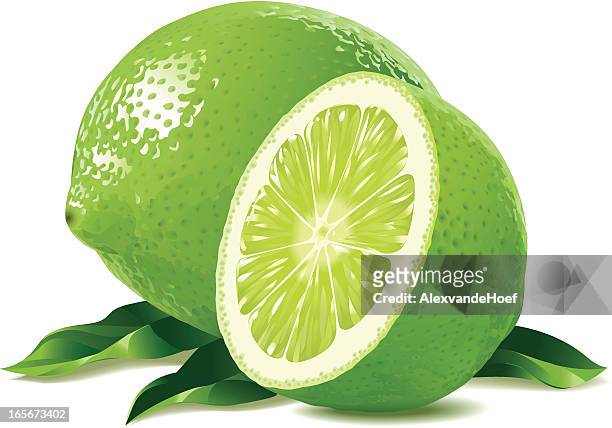 lime mit blätter - limone stock-grafiken, -clipart, -cartoons und -symbole