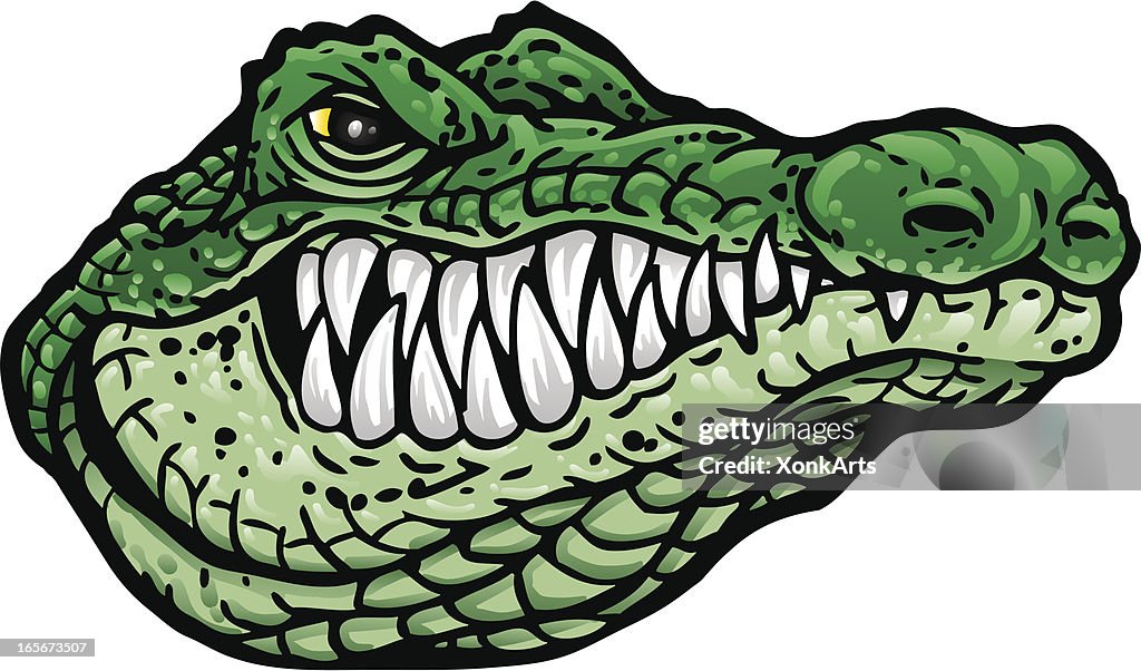 Red Aligator Vector Alligator Head Vector