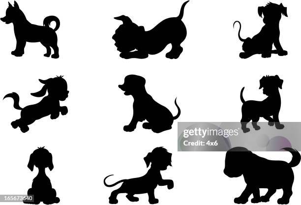 puppies (cartoon style) - dog tail wagging stock illustrations