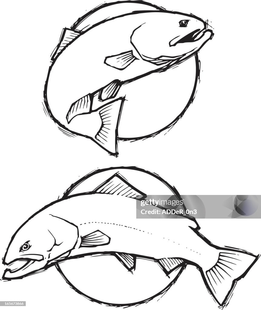 Trout Sketch - Simple