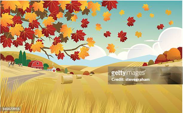 illustration of the autumn countryside - hay bale stock illustrations