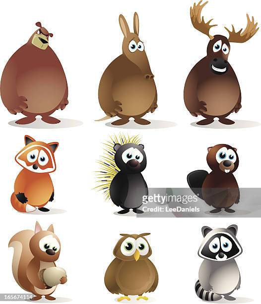forest animals - squirrel stock illustrations