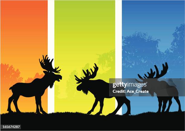 ilustraciones, imágenes clip art, dibujos animados e iconos de stock de alce siluetas en un paisaje de de temporada - alce