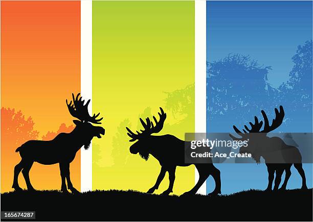 moose silhouettes in a seasonal landscape - white moose stock illustrations