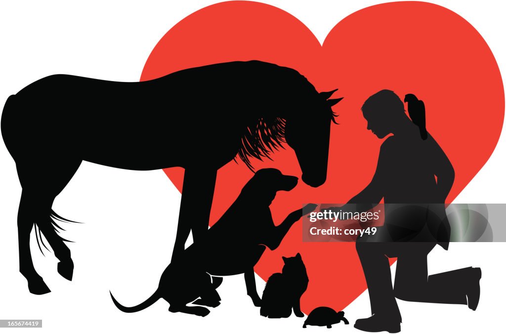 Veterinarian for Small & Large Animals