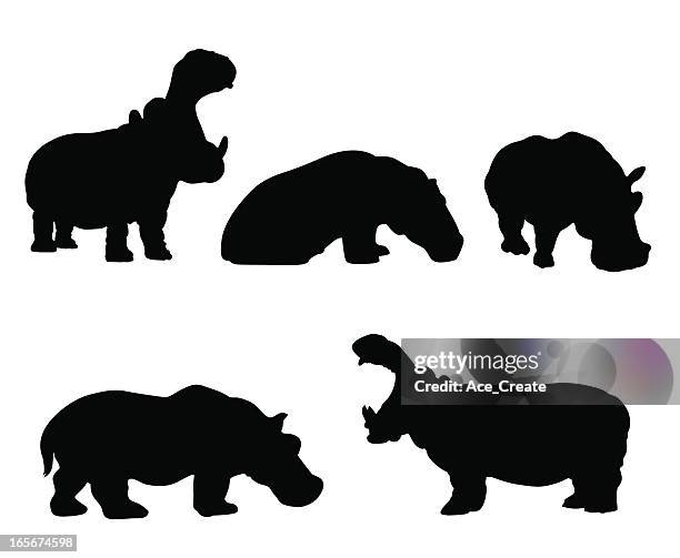 illustrations, cliparts, dessins animés et icônes de hippo silhouette feu - bouche ouverte