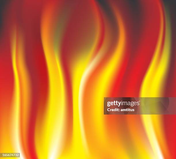 wild fire - forest fire stock illustrations