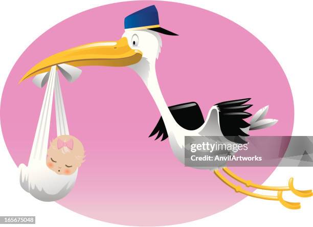 stork delivers baby girl - it's a girl stock illustrations