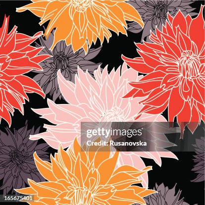 Dahlia Pattern Dahlia Pattern