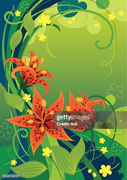 illustrazioni stock, clip art, cartoni animati e icone di tendenza di close-up di un motivo floreale - tiger lily flower