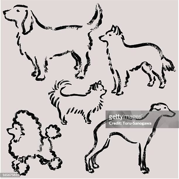 hand-drawn of puppy's illustration - chihuahua stock illustrations