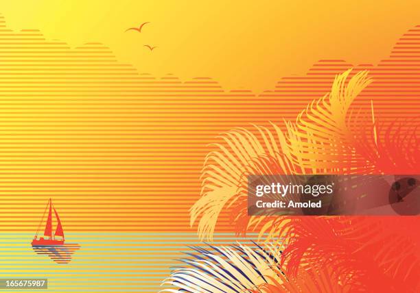 tropical background - florida sunset stock illustrations