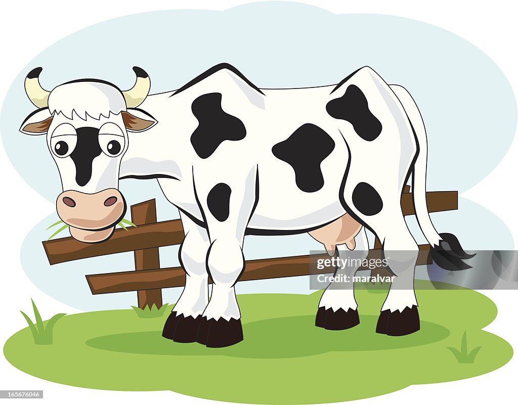 Cow Cartoon Examples Cow Cartoon High-Res Vector Graphic - Getty Images